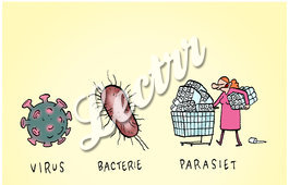 ST_virus_hamsteraars_parasiet.jpg